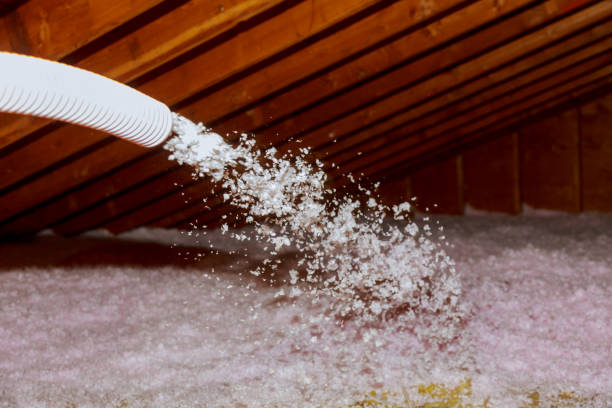 Best Spray Foam Insulation  in Williamston, MI