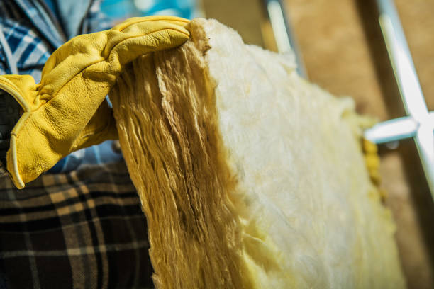 Trusted Williamston, MI Insulation Contractor Experts