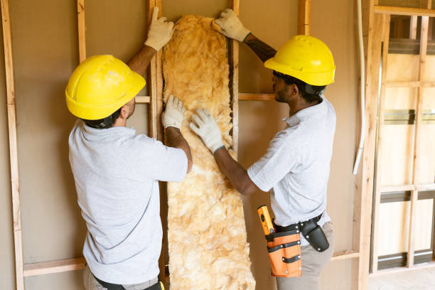 Best Attic Insulation Installation  in Williamston, MI